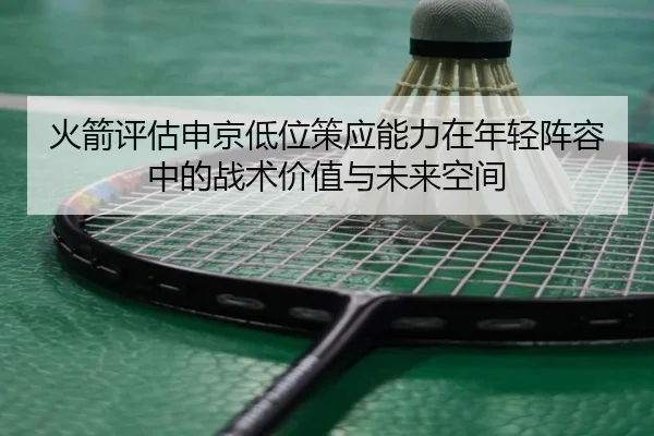 火箭评估申京低位策应能力在年轻阵容中的战术价值与未来空间